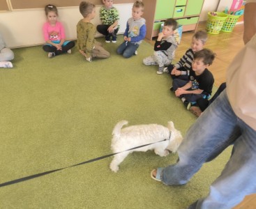 Dzieci odwiedził piesek z okazji Dnia Kundelka  - powiększ