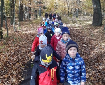 Dzieci na spacerze w lesie - powiększ